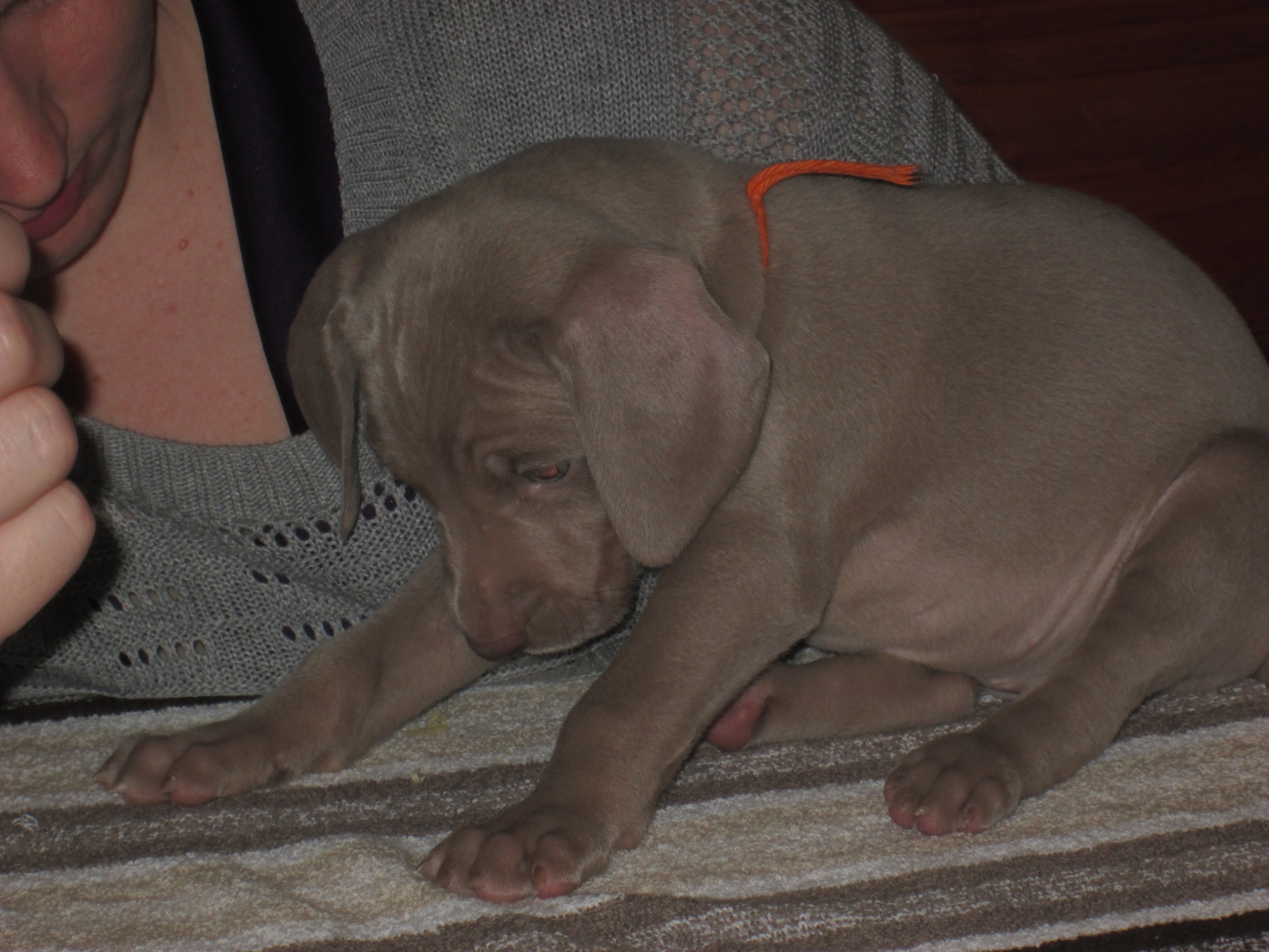 OF5.5wks.jpg