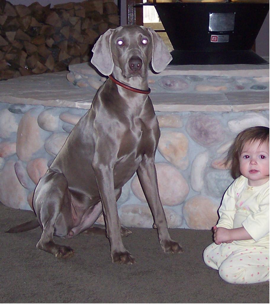 lilaandlibbycropped.jpg