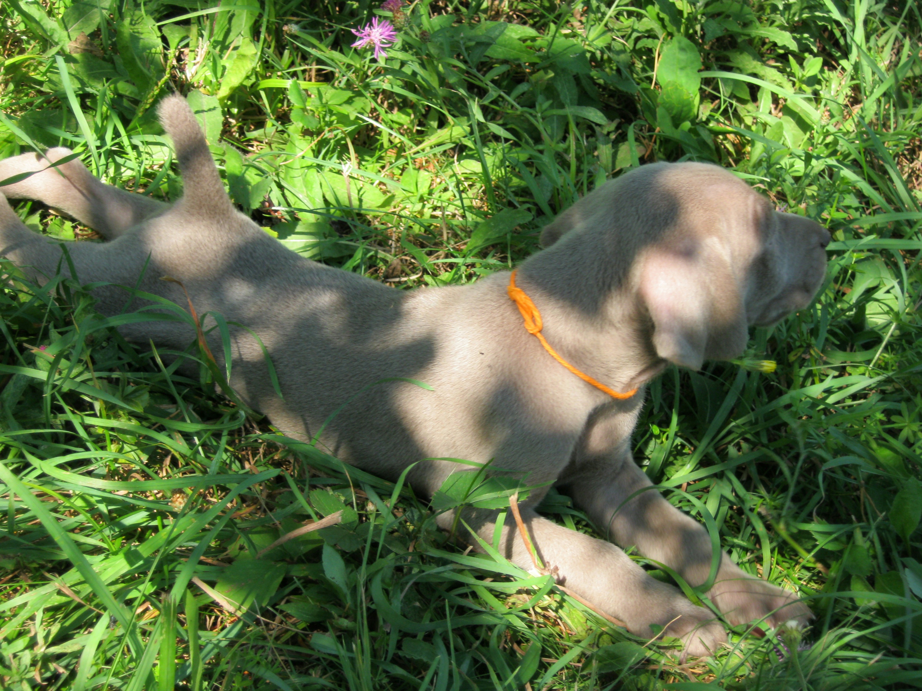 stretchedout.jpg